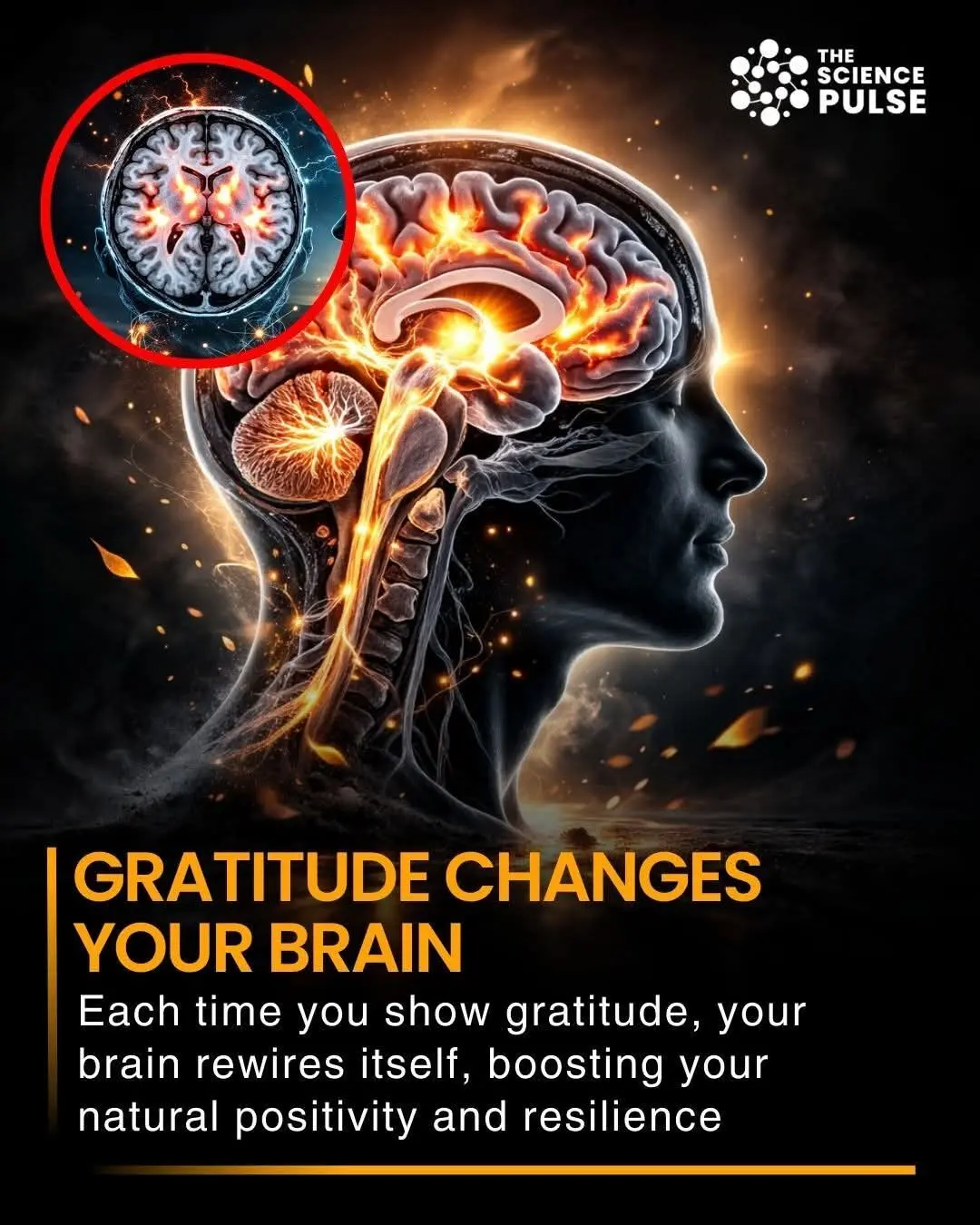 The Neuroscience of Gratitude: Rewiring the Brain for Resilience and Faith